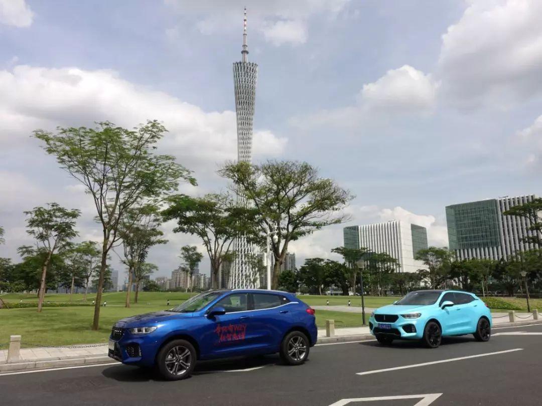 WEY新车发布，兼顾豪华与经济