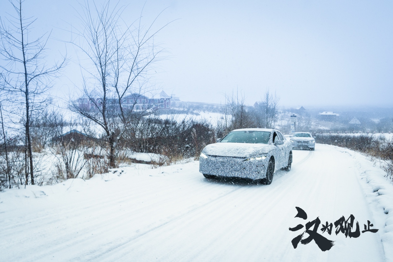 图片包含 雪花, 户外, 天空, 树描述已自动生成
