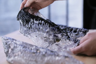人, 男性 が含まれている画像

自動的に生成された説明
