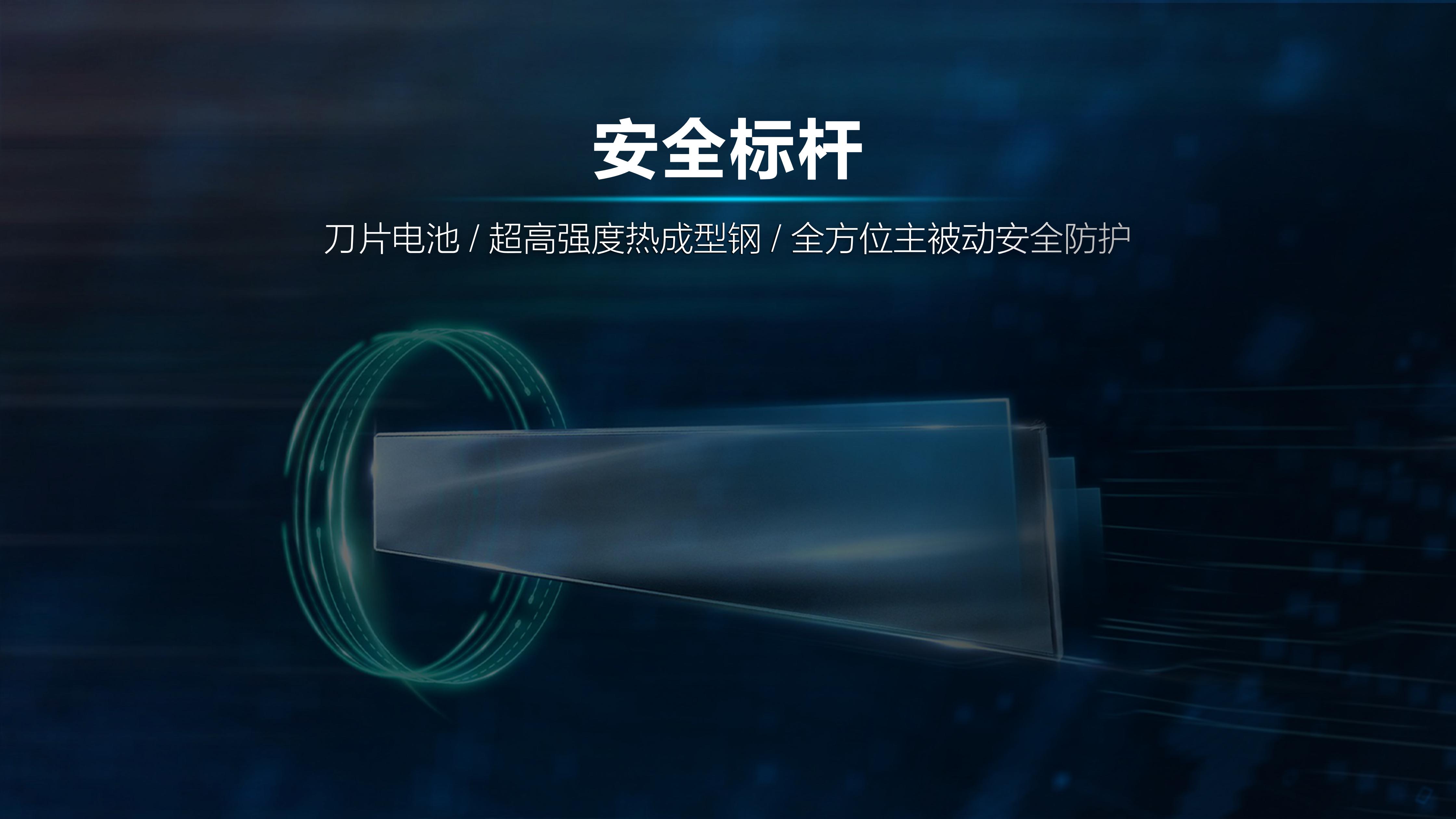 比亚迪汉发布会_王总+余总_0707_04