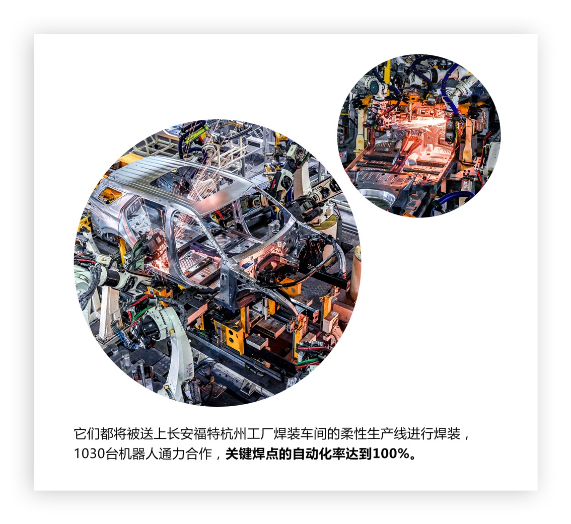 图片包含 游戏机, 乌龟描述已自动生成
